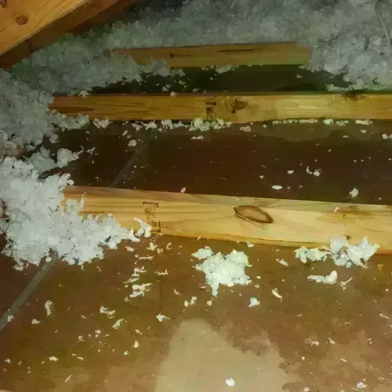 Attic Water Damage in New Castle, CO