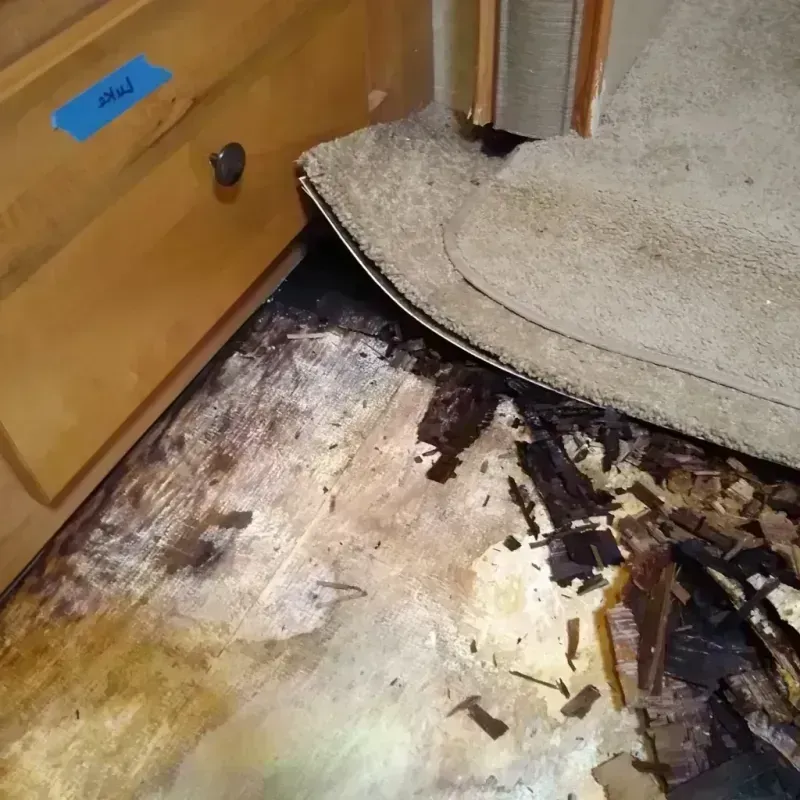 Best Wood Floor Water Damage Service in New Castle, CO